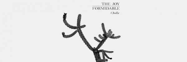 thejoyformidable-cholla